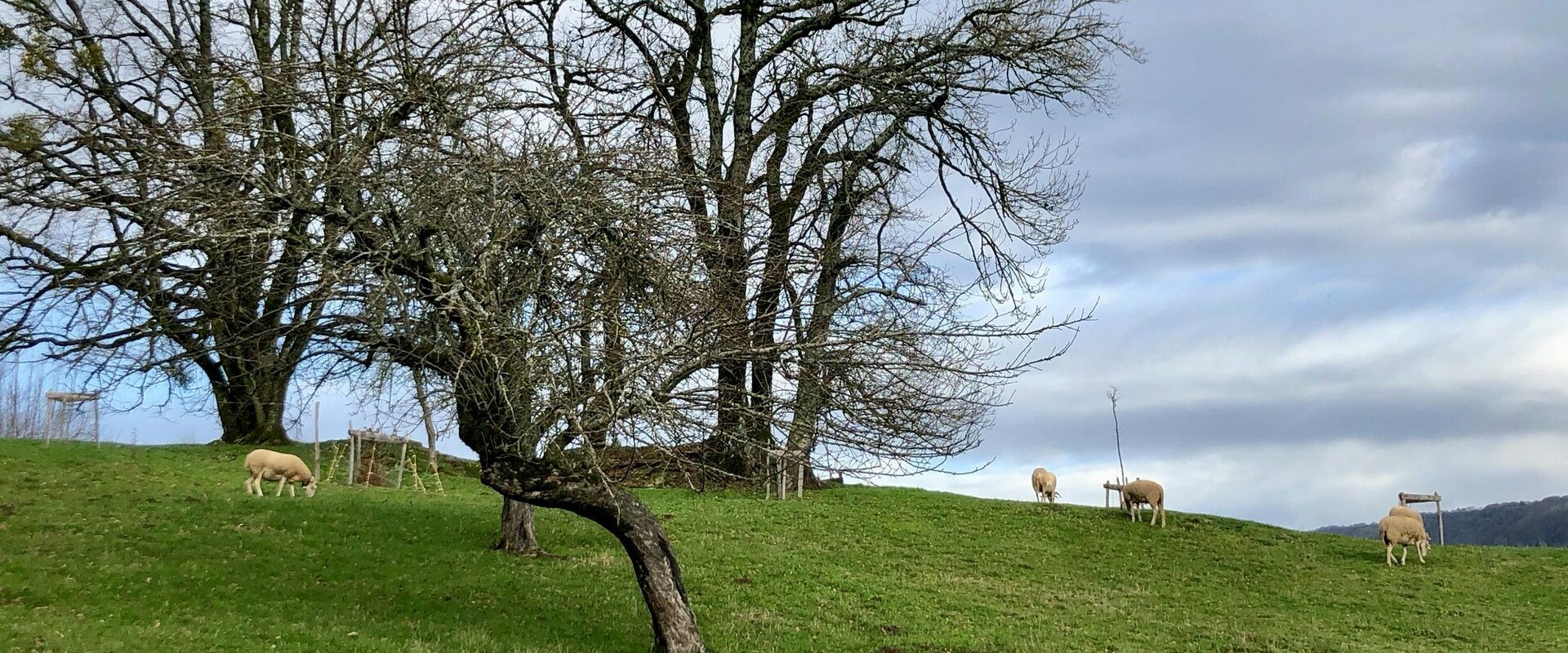 Avis clients - Imagîte (Cantal)