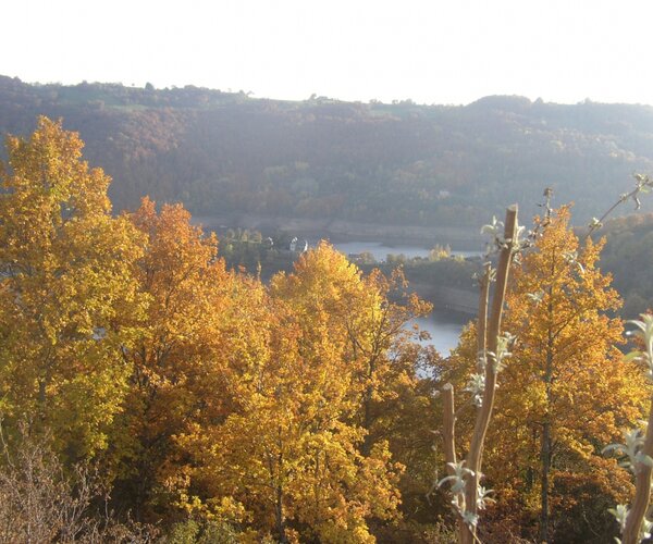 Lac en automne