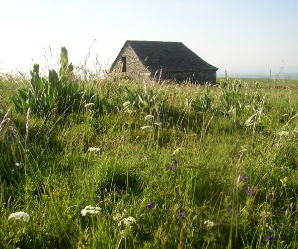 Buron à Pailherols