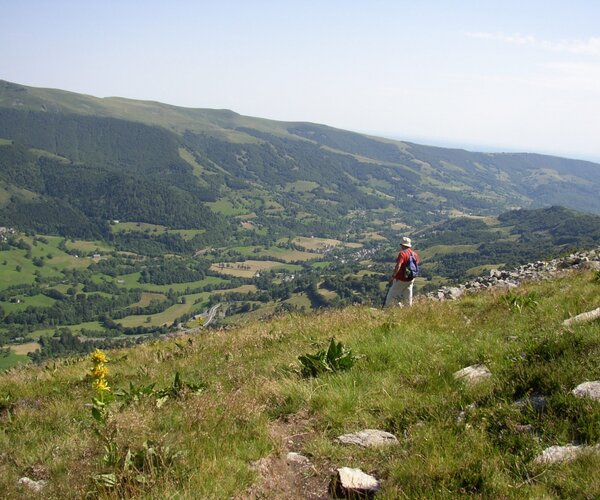 Haute Vallée de la Cère au Griou