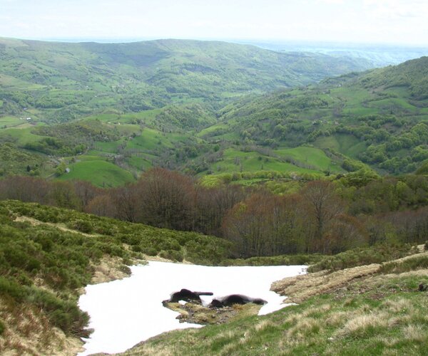 Vue sur la Vallée de la Cère