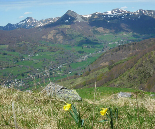 Buron sous le Puy Gros