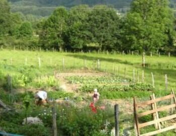 Le potager