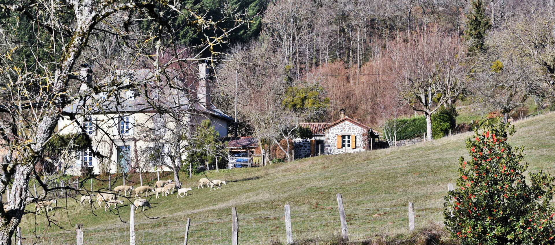 Cantal près des Volcans d'Auvergne Maisons de pays aménagées en gîtes indépendants de caractère 2 à 11 personnes ,alt 650m ,Polminhac, Vic/cère,