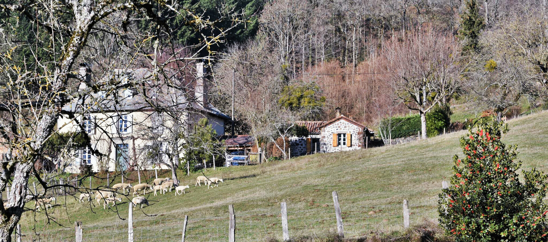 Maisons de pays aménagées en gîtes indépendants de caractère Cantal près des Volcans d'Auvergne